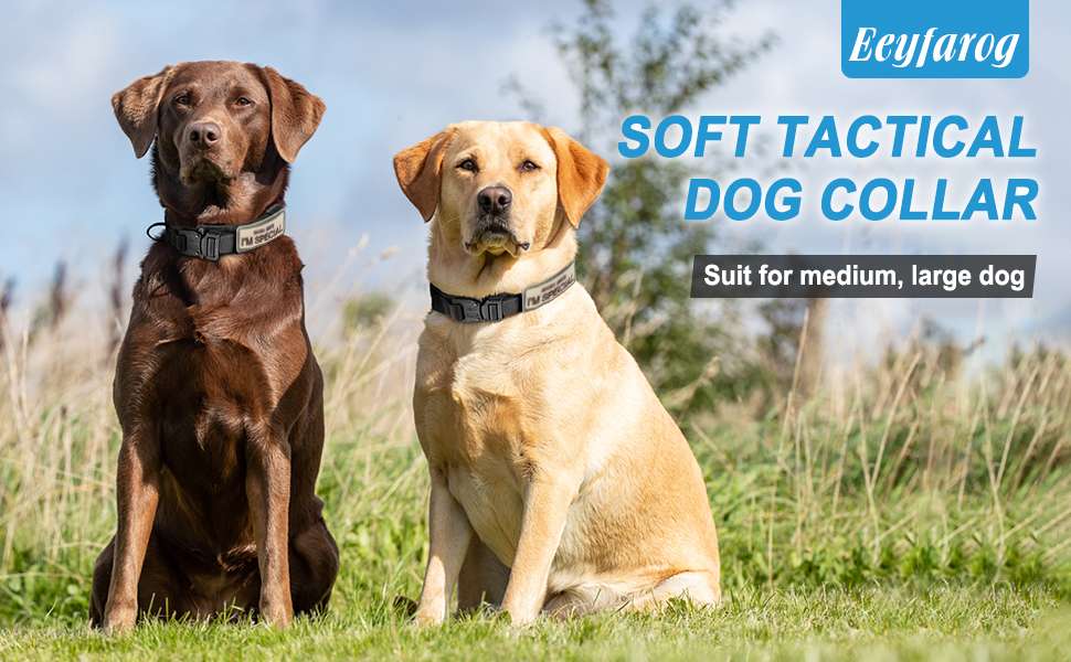 Нашийник для собак регульований з контролем, тактичний нашийник з нейлону, з м'якою підкладкою, з металевою застібкою, для середніх та великих собак, для полювання, тренувань, активного відпочинку, чорний, розмір L (45-54 см)