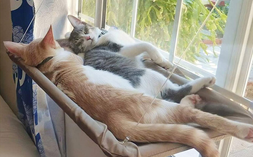 Крісло-гамак для котів JinRui-T на вікно, безпечне сонячне ліжко, міцні присоски, кріплення на вікно, до 13,6 кг (Хакі)