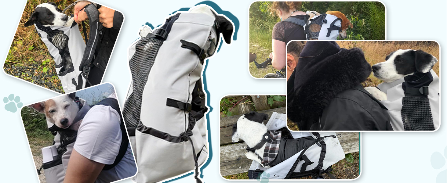 Рюкзак-переноска для собак Galatée, регульований, з вентиляцією, для походів, трекінгу та подорожей (S, чорний)