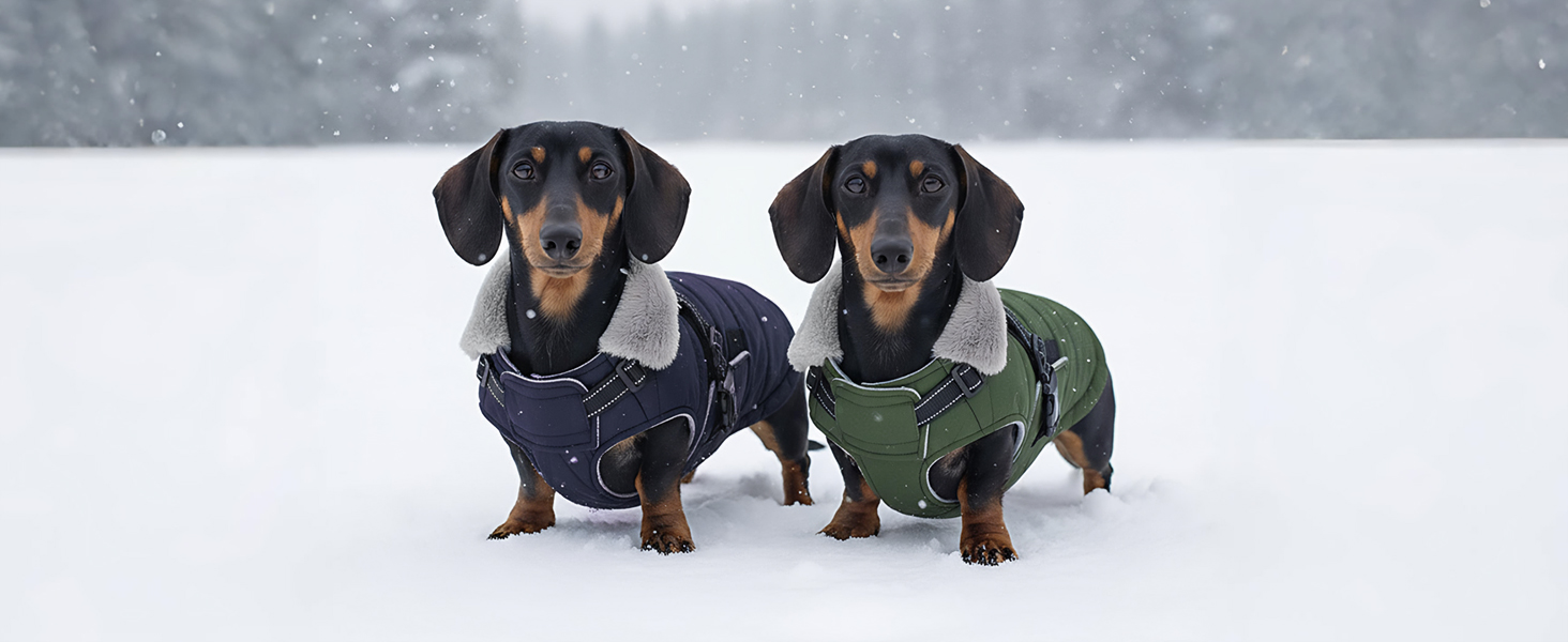 Зимовий теплий накид для собак ASENKU (S, M, L, XL) – водонепроникний, вітронепроникний, з відбиваючими елементами, з нагрудником, для маленьких, середніх та великих собак, зелений