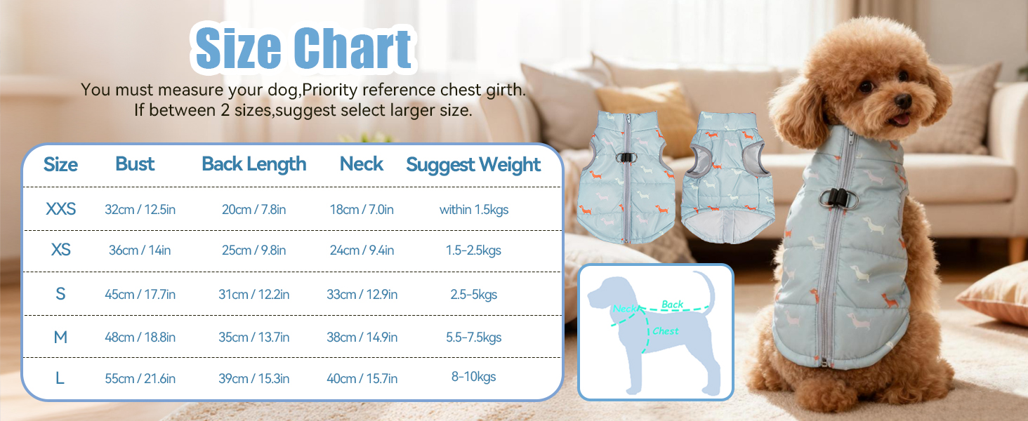 Теплий зимовий одяг для собак: куртка для маленьких собак, вітронепроникний жилет з отвором для шлейки, водонепроникний, для чихуахуа, такси, сірий, блакитний, XXS