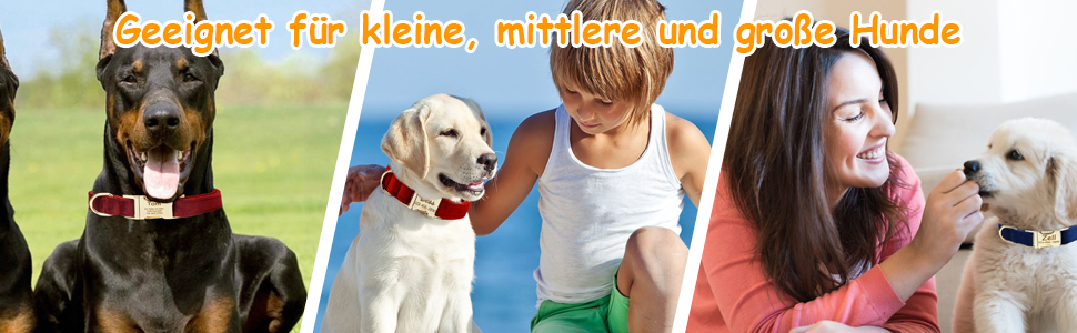 Персоналізоване собаче ошийник з металевою застібкою, двостороннє оксамитове обплетення з іменем та номером телефону, регульовані розміри для собак маленьких, середніх та великих порід