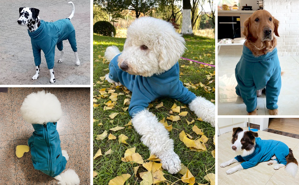 Зимовий одяг для собак: теплий флісовий пуловер для малих, середніх та великих собак. Вітростійкий одяг для тварин з блискавкою. Підійде для Чихуахуа (XXS-3XL). XL, блакитний