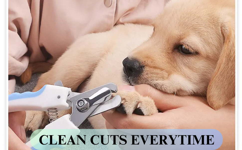 Набір для стрижки та підпилювання кігтів для собак та котів H&A Petcare, професійний, для всіх порід та розмірів, компактний, блакитний