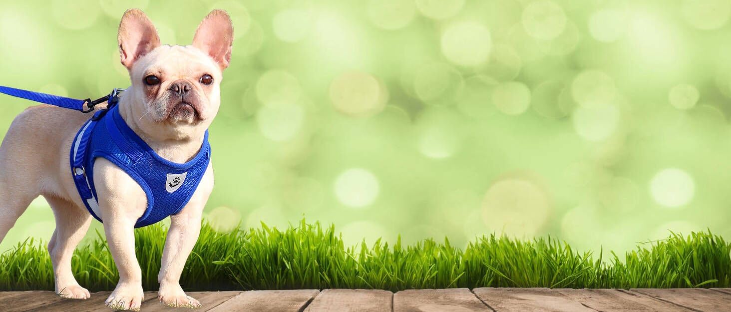 Тренч для собак PAIDEFUL, вітрова куртка-вестерн для дівчаток та хлопчиків, з поясом, для осені та зими, розмір S, колір хакі