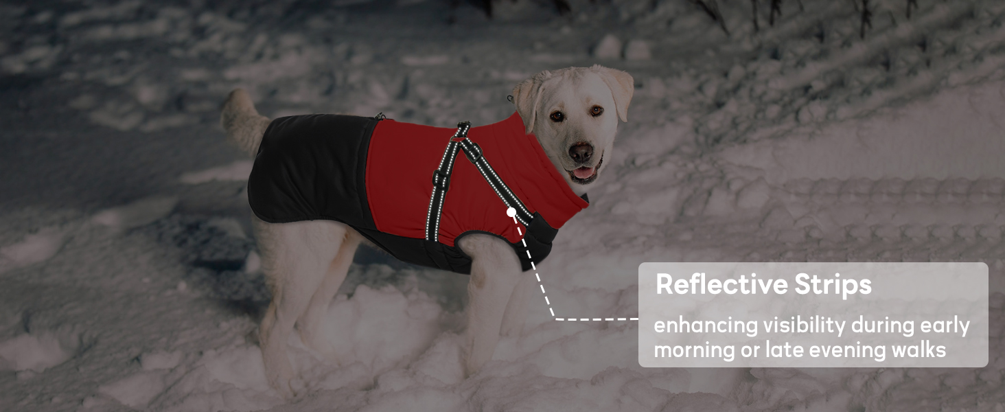 Зимовий одяг для собак маленьких порід: теплий жилет, водонепроникна куртка, червоний (M)