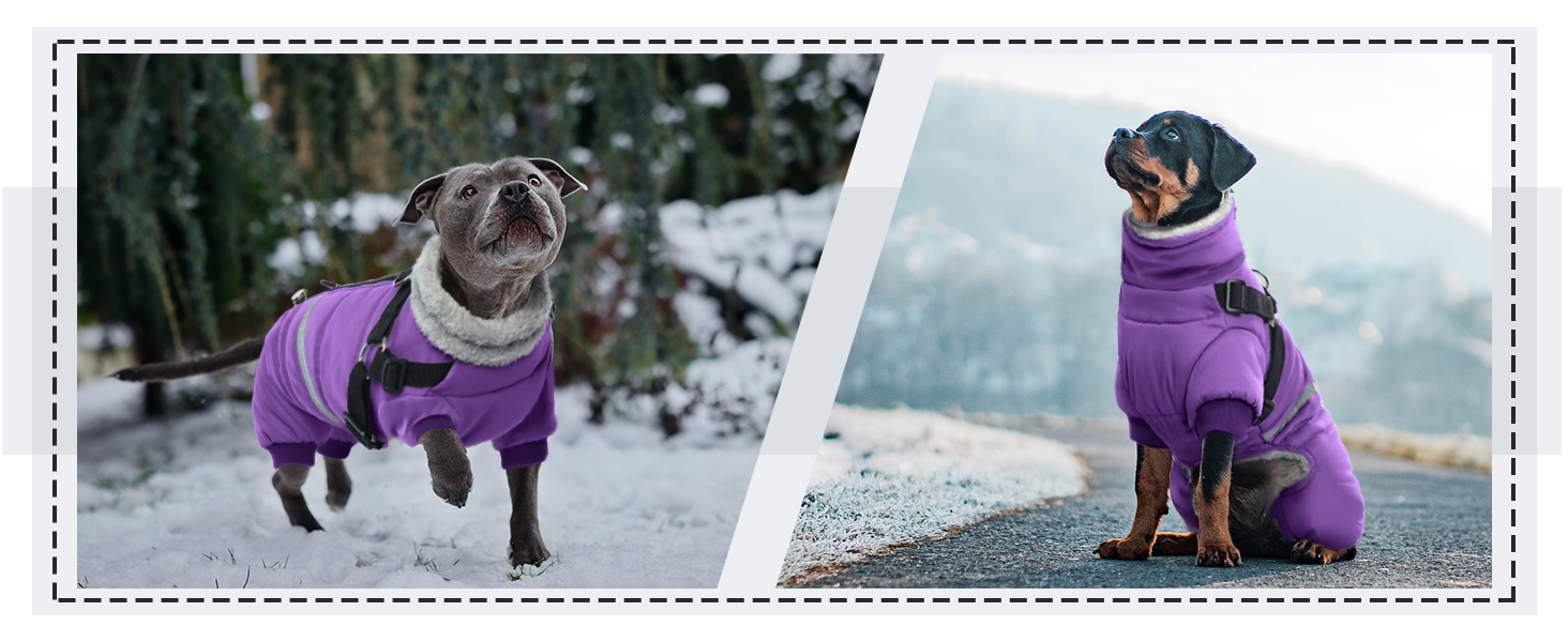 Водонепроникний теплий зимовий одяг для собак середніх порід, комбінезон з отвором для шлейки, тепла жилетка, светр для собак з кільцями D (M, фіолетовий)