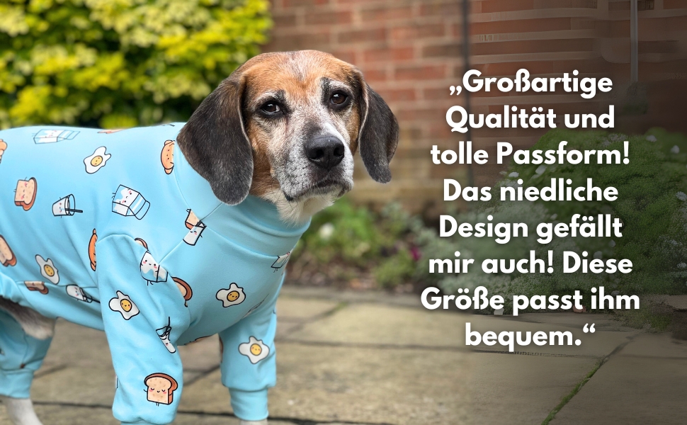 Піжама для собак Spark Paws, ультрам'яка, 4-стороння еластичність, для відновлення після операції, спальний костюм-комбінезон для маленьких, середніх та великих собак, колір Breakfast Blue, розмір 3XL (25-34 кг)