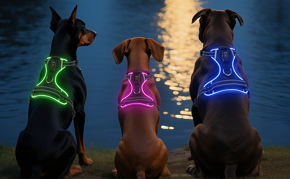 Світловідбиваючий жилет для собак Colaseeme Light з LED-підсвічуванням, регульований, чорний, розмір S