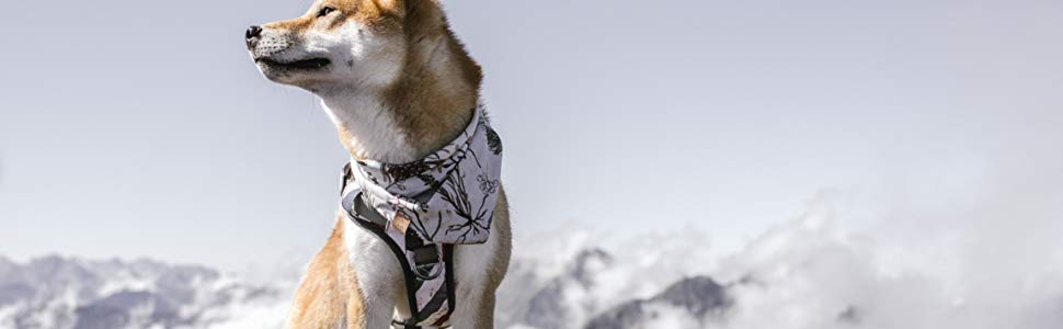 Шлея для собак Embark Urban, не натирає, зручна, регульована, із ручкою, кріпленням спереду та ззаду, для тренувань без ривків