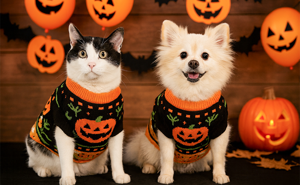 Пуловер на Halloween для собак та котів, з мотивом гарбуза та черепа, трикотажний, для маленьких, середніх та великих собак, Yorkie, Chihuahua, Zwergspitz, розмір L