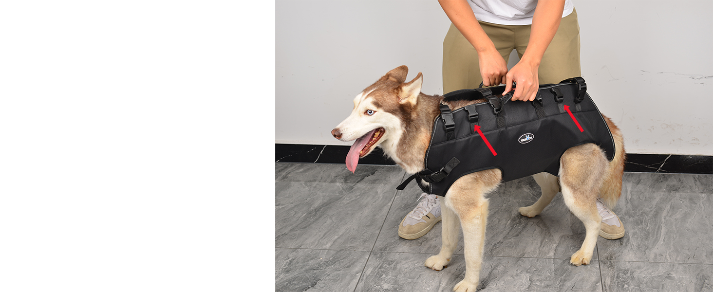 Сумка-переноска та повідок для собак, Wakytu, для маленьких собак (4-8 кг), чорний, регульовані ремені