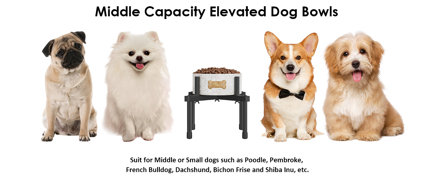 Підставка для води для собак Jane Eyre, регульована, для великих та середніх порід, антиковзна, M-STEEL