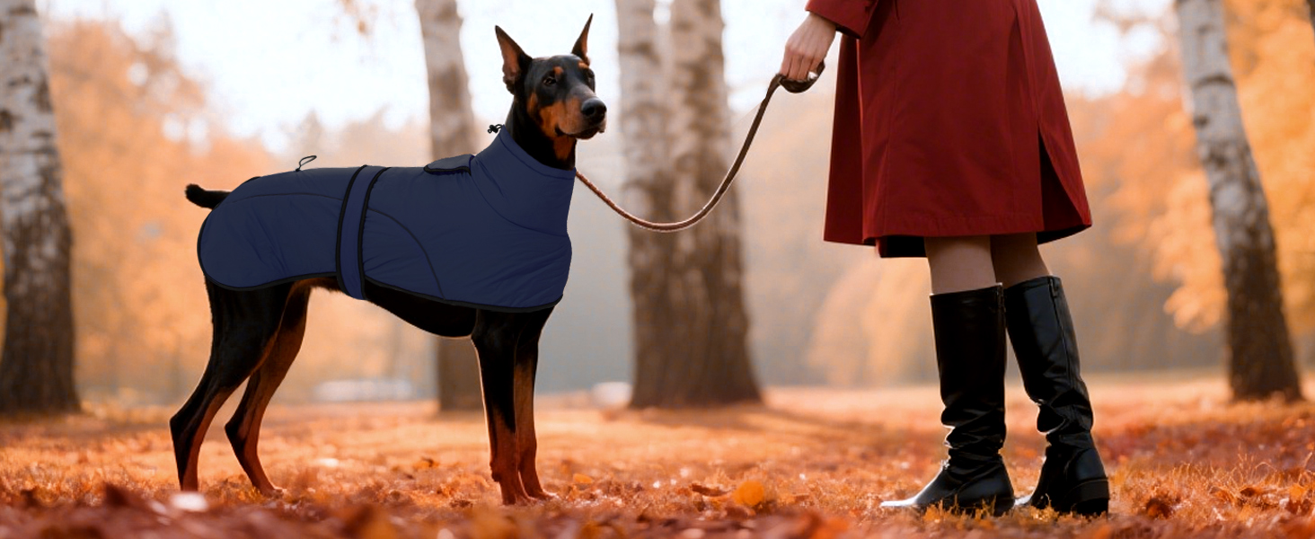 Водонепроникний зимовий одяг для собак Dotoner, теплий, з підкладкою з флісу, для великих собак XL, морський колір