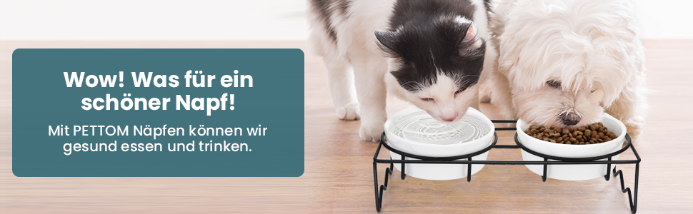 Набір мисок для котів PETTOM (2 шт.) з підставкою, кераміка, захист шиї, зелений + сірий