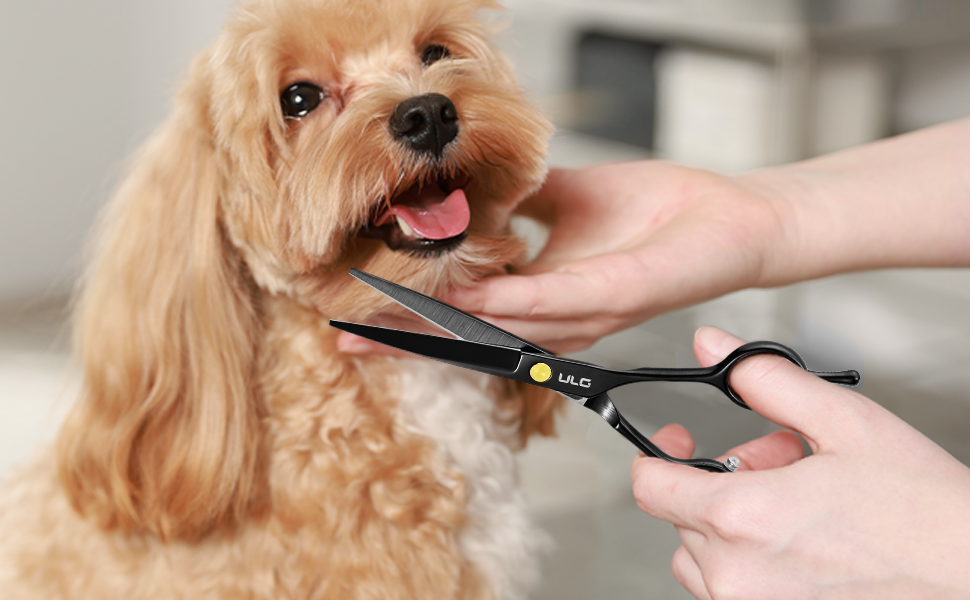 Професійний набір для стрижки волосся ULG: 2 ножиці (16,5 см), розріджувач, гребінець, затискачі, кейс. Підходить для чоловіків, жінок, дітей.