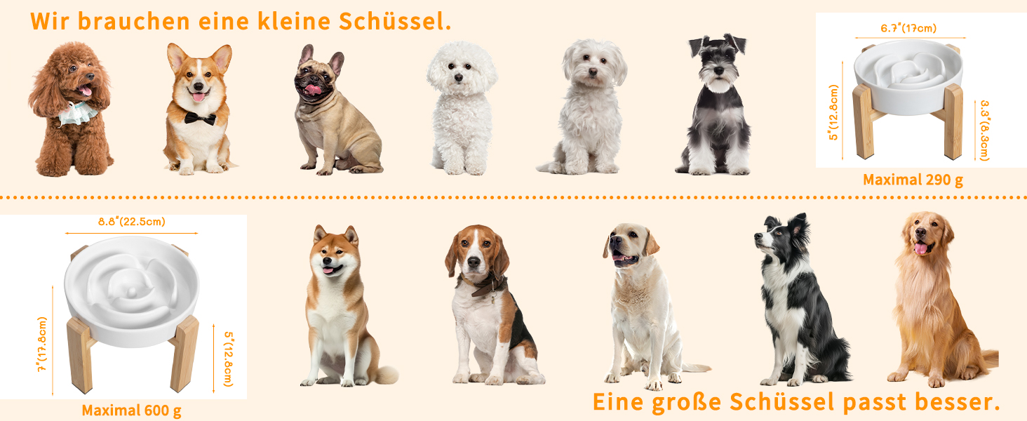 Миска для собак антиблік з кераміки, піднята - миска для собак на бамбуковому антиковзному підставці, миска для повільного годування, для собак маленьких та середніх порід, біла, діаметр 17 см, 1.25 CUP