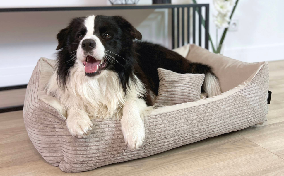 4L Textil Hundebett Molly - зручне ліжко для собак середніх порід, м'який велюр, коричневий колір (100x80 см)