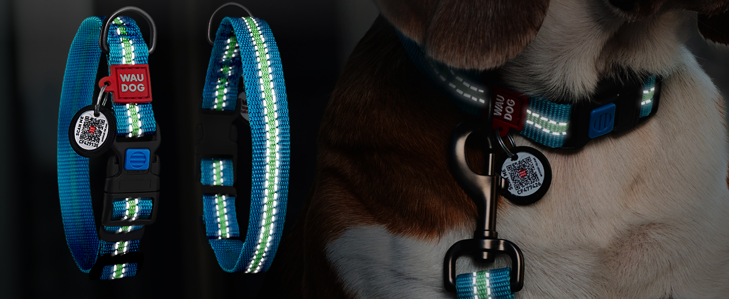 Водонепроникний нашийник для собак WAUDOG: великі, середні та малі породи, регульований, металевий замок, 31-49 см, ширина 25 мм, світловідбиваючий