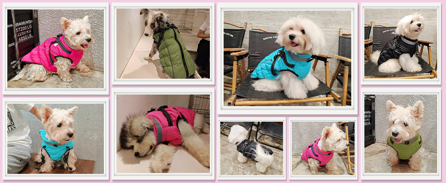 Водонепроникний зимовий одяг для собак HezzLuv, тепла куртка для собак з отвором для повідка, рожевий, 4XL