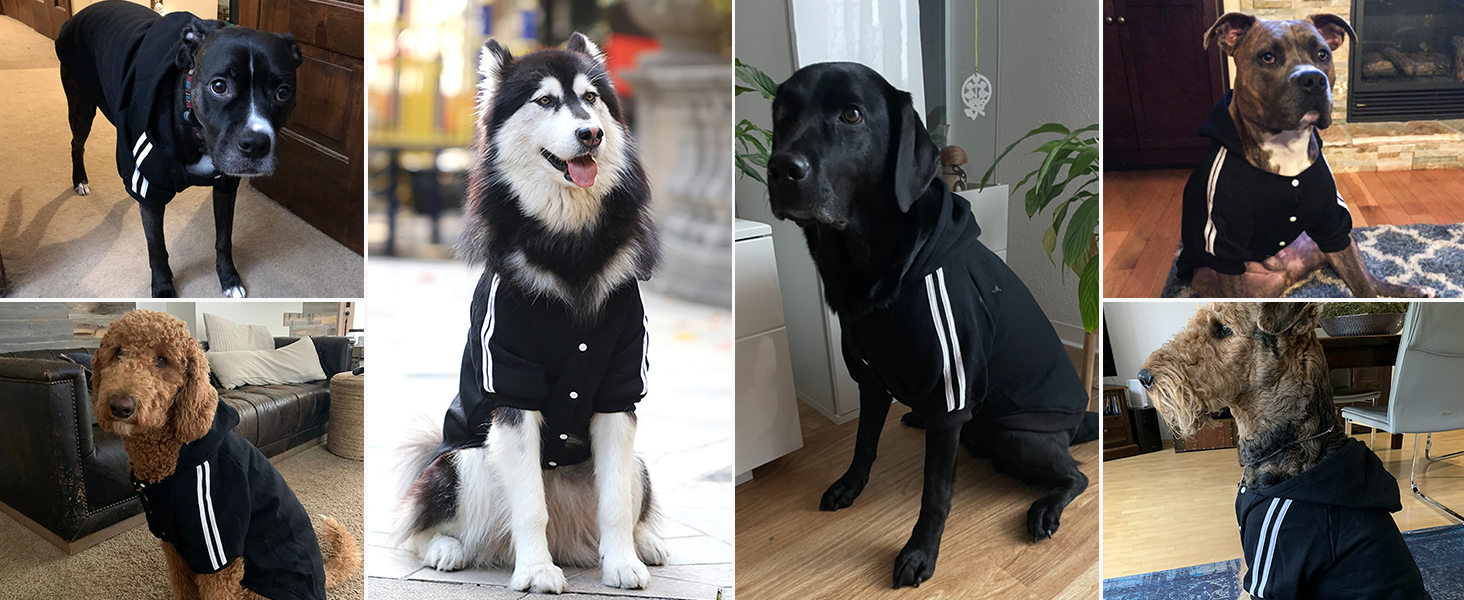 Теплий собачий пуловер NAMSAN для великих собак: зимовий одяг, худі з кнопками (6XL, чорний)