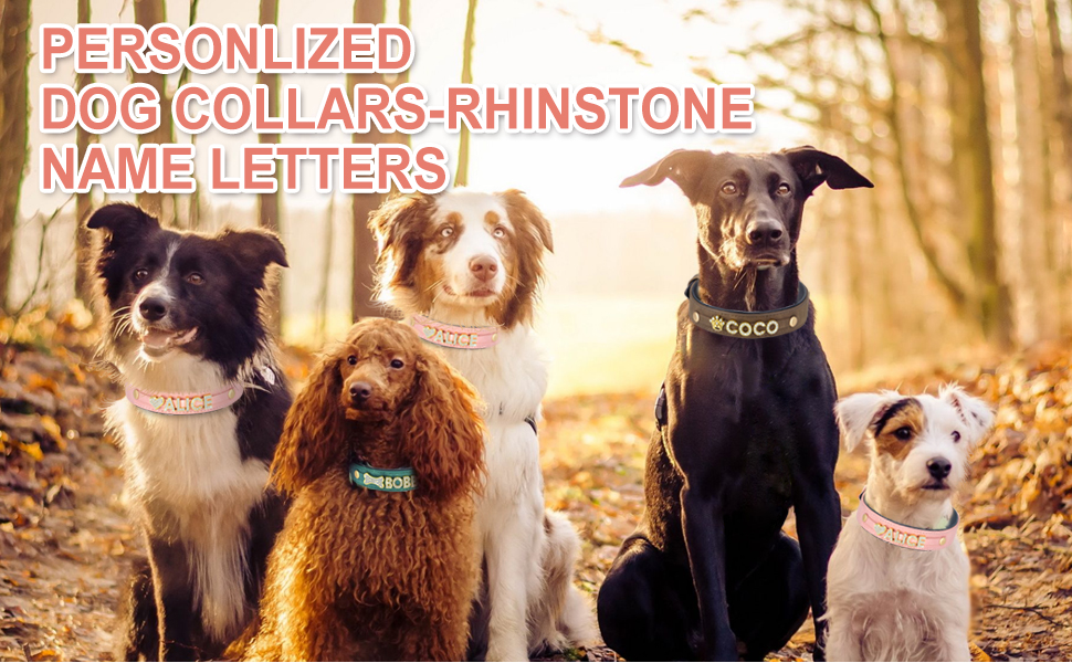 Персоналізоване шкіряне собаче ошийник з кристалами та іменем від PET ARTIST, блискучий ошийник зі стразами для собак, обхват шиї 33-43 см, фіолетовий