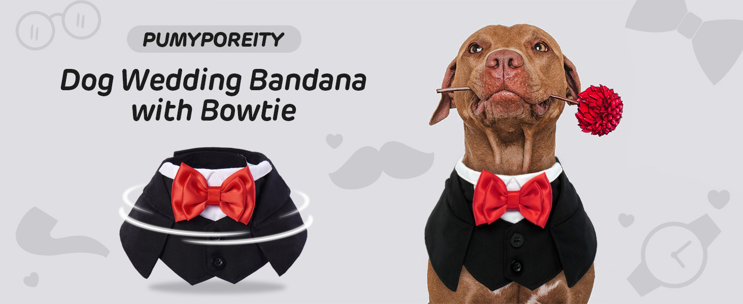 Нашийник для собак з краваткою для весілля, смокінгу, Дня святого Валентина, дня народження - костюм для собак, одяг для котів (чорний, M) M Чорний