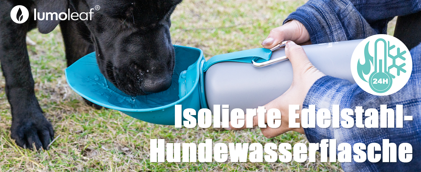 LumoLeaf Ізольована водна пляшка з нержавіючої сталі для собак, 800 мл – підтримує воду холодною або теплою годинами, довговічна та портативна для подорожей, широке горлечко для легкого наповнення та очищення (Блакитний, 800 мл)