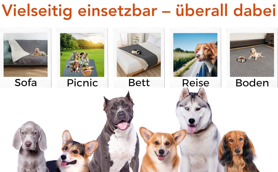 Водонепроникний плед для собак з роликом для ворсу, антиковзаюча ковдра для тварин на диван, машинне прання, 210 x 130 см, темно-сірий