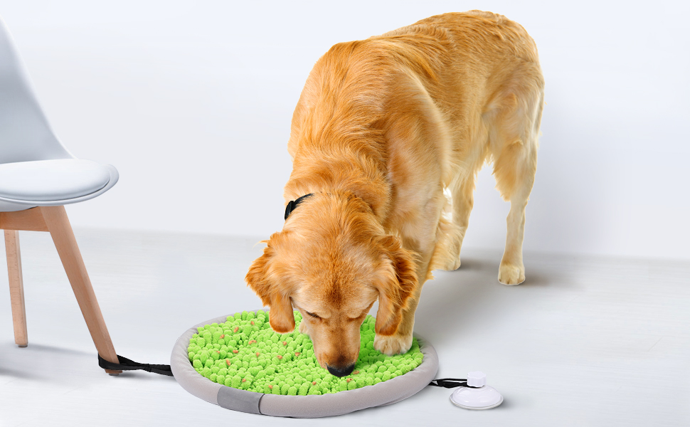 Schnüffelmatte для собак POPETPOP: миюча, з присосками, килимок для корму, великий/маленький, зелений (42 см)