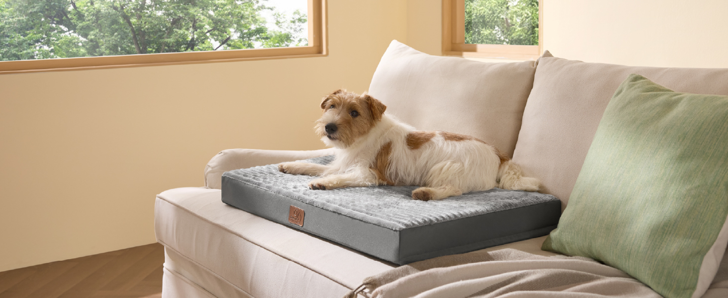 Крісло-лежанка для собак середніх порід BEDSURE - м'яке ліжко з антиковзною основою та знімним чохлом, сірого кольору, 89x56x7 см
