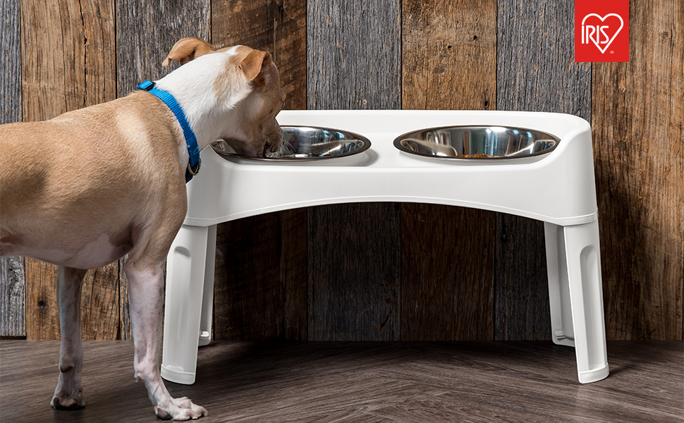 Набір з 2 підіймальних мисок для собак Iris Ohyama PEF-L, сірий, L29 x B57 x H31 см
