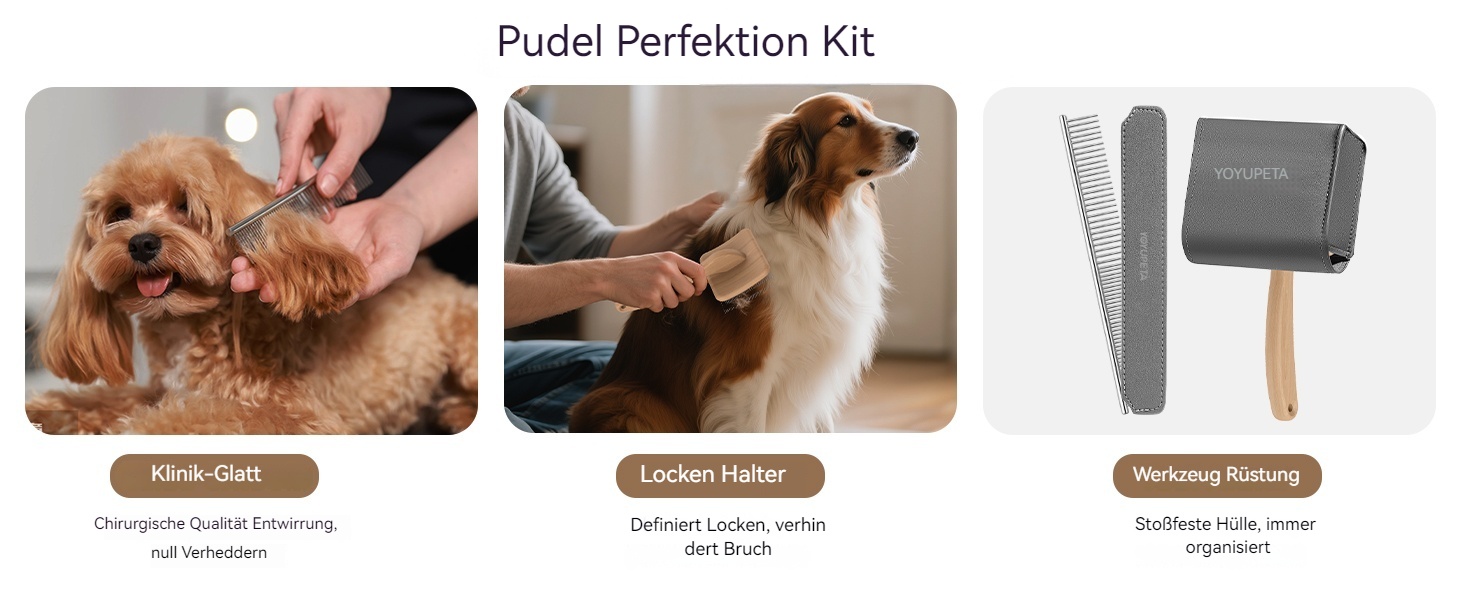 Набір щіток та гребінців Slicker для великих собак з довгою шерстю – щітка для розплутування з пінами 22 мм для Голден Ретріверів, Пуделів, Дудлів та котів – професійний догляд за шерстю з дерев'яною ручкою та шкіряним чохлом. Покриття лаком.