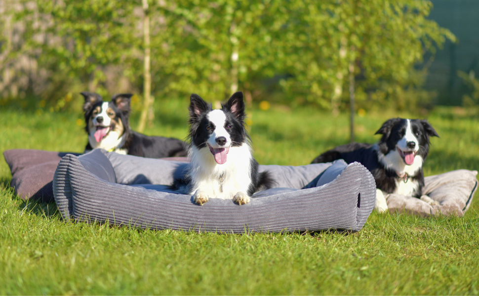 4L Textil Hundebett Molly - зручне ліжко для собак середніх порід, м'який велюр, коричневий колір (100x80 см)