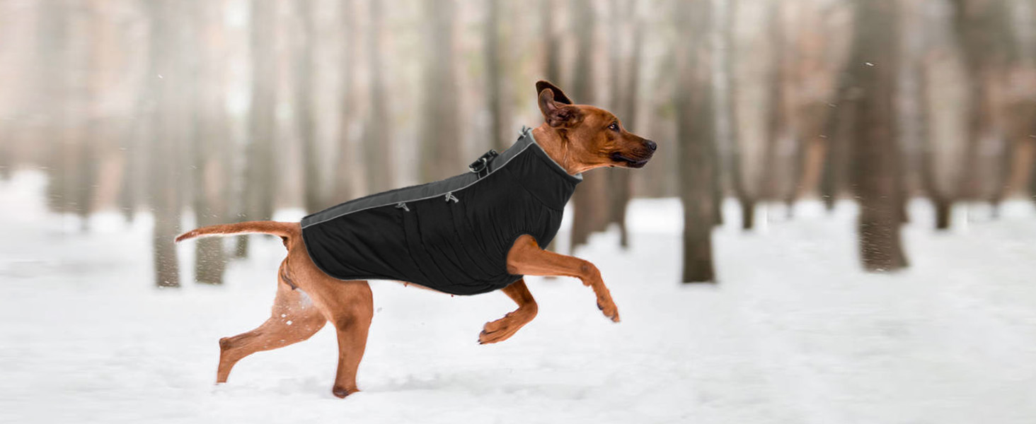 Водонепроникний зимовий одяг для собак, тепла куртка для собак з отвором для шлейки, для малих, середніх та великих собак, з відбиваючими смугами та блискавкою - чорний, XS