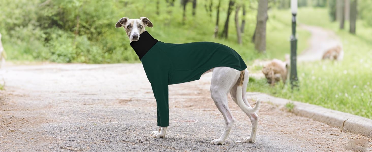 Теплий плед для Whippet, Greyhound: флісовий халат, одяг для собак, піжама (Оливковий, S)