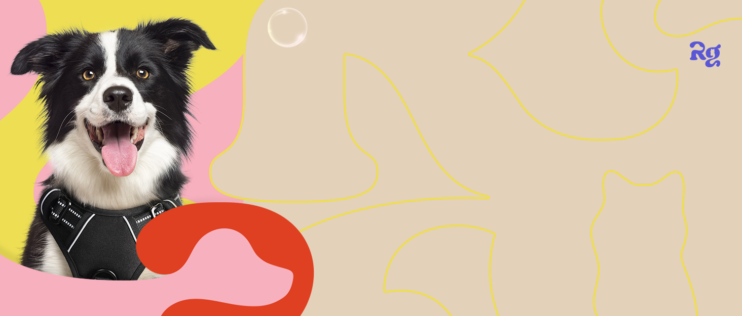 Нашийник для собак Rabbitgoo середнього розміру, анти-тяга, регульований, для великих собак, дихаючий, з світловідбиваючими смугами, безпечний, темно-зелений M (1 шт.)