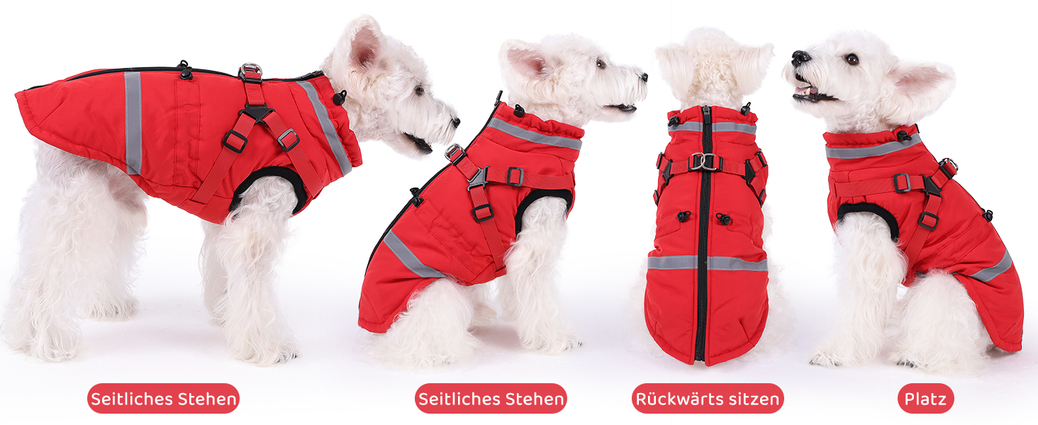 Водонепроникна зимова куртка для собак та котів Poseca, червона