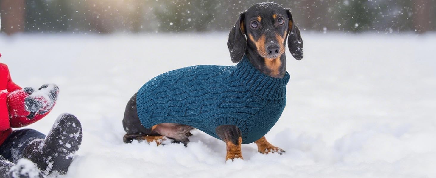 Пуловер для собак Queenmore Dackel, в'язаний водолазка для собак, підходить для Джек Рассел, Бульдог, Коргі, Французький Бульдог, Мопс (Синій, M)