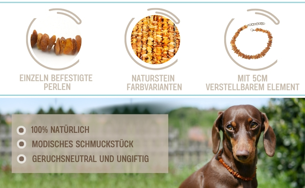 Намисто з бурштину для собак PetLove • 100% балтійський бурштин • Обов'язкове для собак та котів • Довжина: 50-55 см