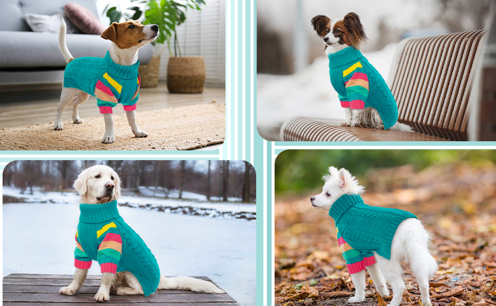 Теплий собачий светр з коміром для холодної погоди. Для чихуахуа, бульдога, такси, мопса, йорка (блакитно-зелений, S)