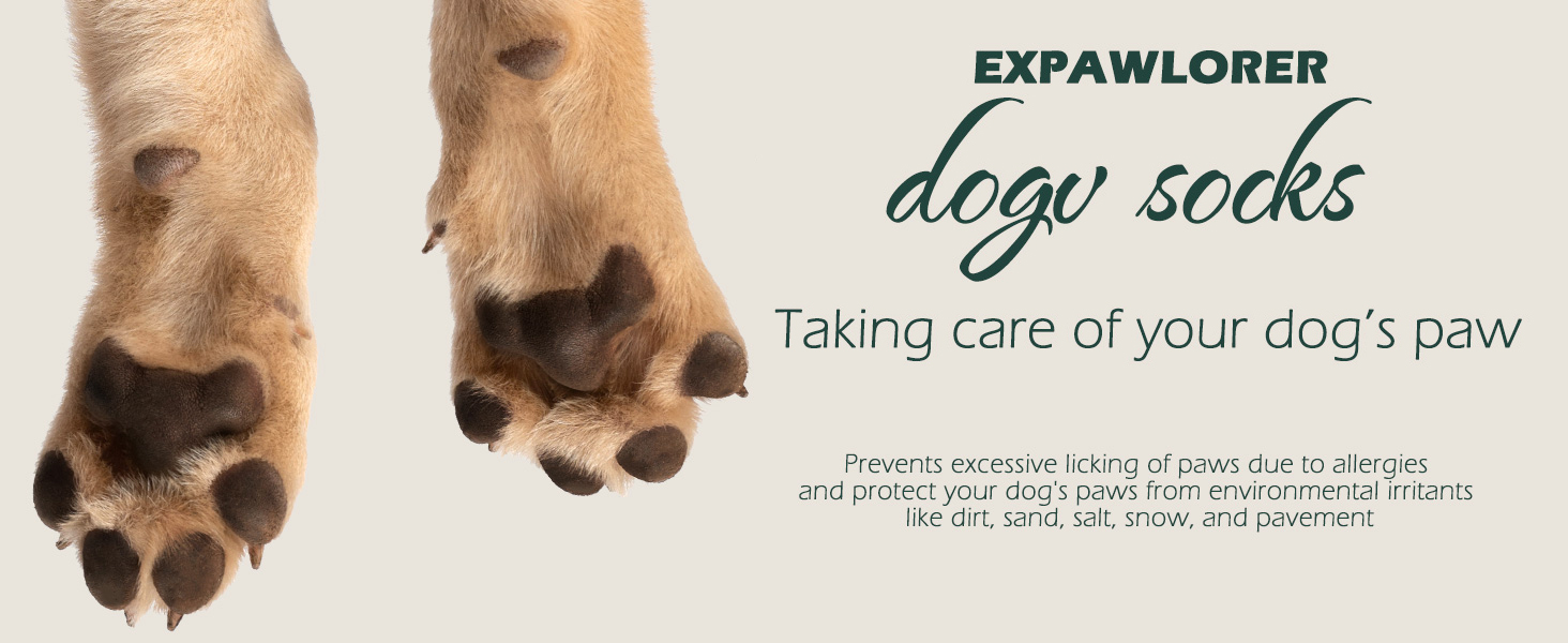 Шкарпетки для собак EXPAWLORER: антиковзаючі, захист лап, для гарячих доріг, контроль зчеплення, 6 шт. (X-small, Росаграу)