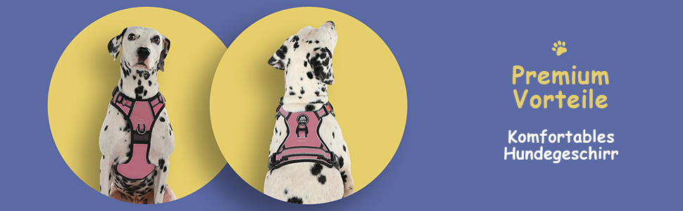 Шлейка для собак середнього розміру FURRYFECTION, анти-виривання, зручна, регульована, з шнуром (Plaid Rosa, M)