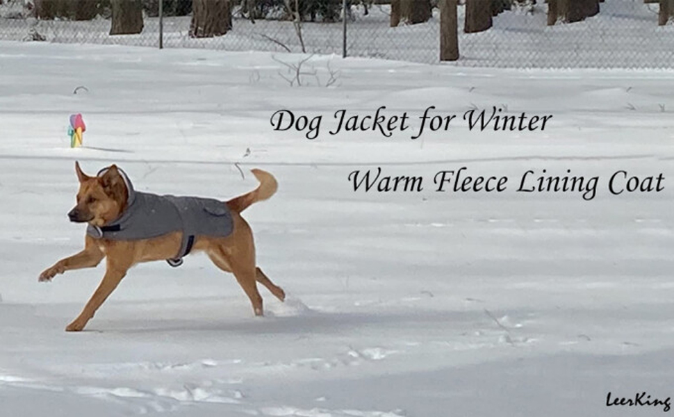 Флісовий теплий одяг для собак, зимова куртка, одяг для котів, сірий, M