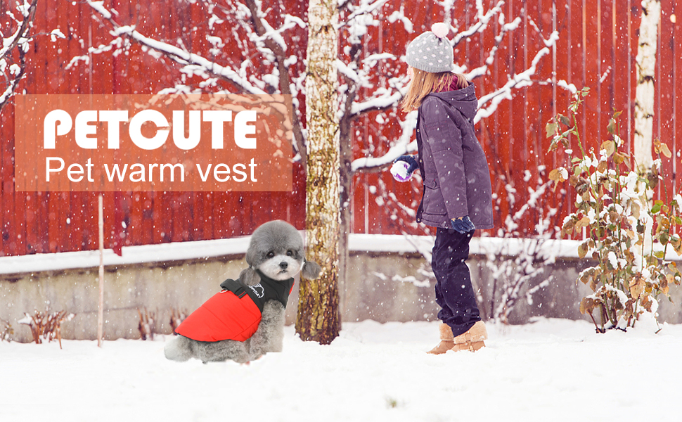 PETCUTE Зимовий теплий водонепроникний одяг для собак, куртка для малих, середніх та великих собак, з отвором для повідка, ідеально підходить для зими, осені та весни, M, червоний