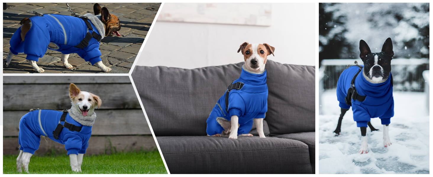 Водонепроникний теплий зимовий одяг для собак середніх порід - теплий комбінезон Onesie з шлейкою, зимова жилетка, теплий пуловер для собак з кільцями D (Синій, M)