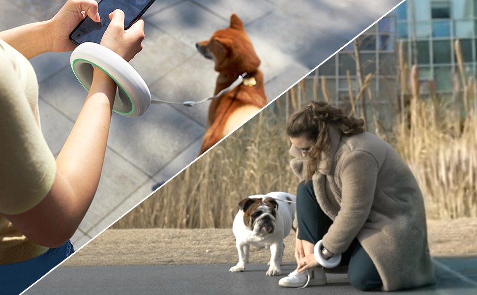 Moestar Висувна повід для собак з контейнером для відходів, рулетка, для маленьких та середніх собак (чорний/зелений)