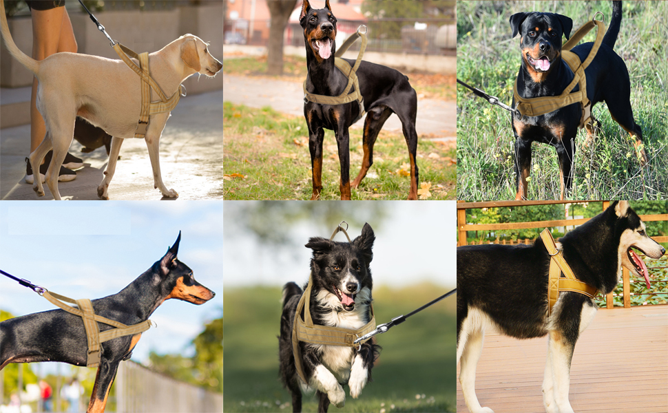 Шлейка для собак, антинатяжна, світловідбиваюча, для середніх та великих собак, регульована, м'яка, дихаюча, для прогулянок та бігу (L), Style1-L