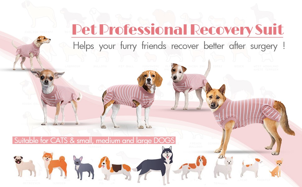 Одяг для собак після кастрації - Медичний боді для собак, альтернатива комірчику, для маленьких, середніх та великих собак, дихаючий, рожевий в смужку, розмір L