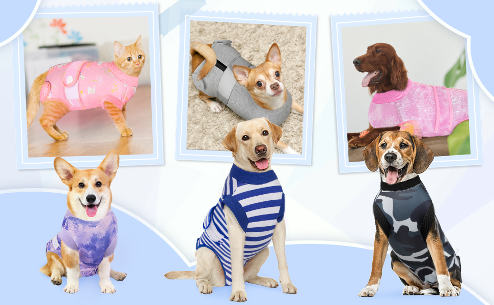 Захисний одяг для собак після операції: комбінезон з блискавкою та липучкою, анти-витікання та захист ран, дихаючий, для собак після операції (Сірий, M)